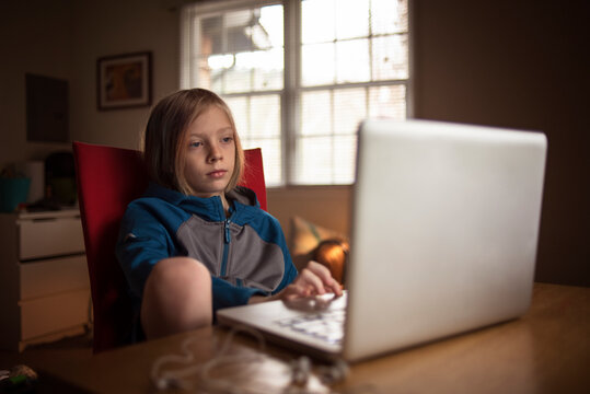 Boy using laptop while sitting at table