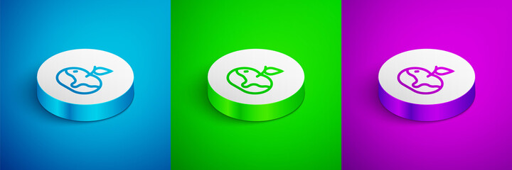 Isometric line Apple in caramel icon isolated on blue,green and purple background. White circle button. Vector.