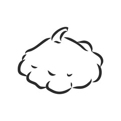 Beautiful vector hand drawn vegetables Illustration. Detailed retro style radish image. Vintage sketch element for labels, patisson, vector sketch on a white background