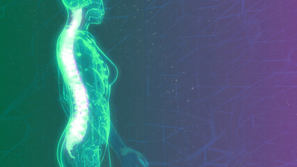cg medical 3d illustration, human spine on x-ray organism