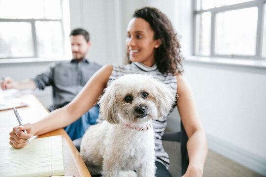 Portrait of dog with business people in board room