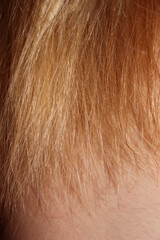 haare Struktur