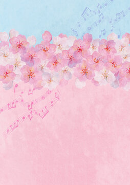 Aoirokaeru Photos Images Assets Adobe Stock