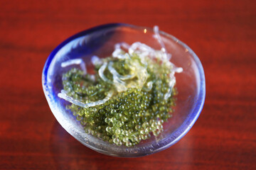 おいしそうな海ブドウ