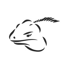 Lizard iguana isolated. Black and white reptile. Vector illustration. Hand drawing realistic. Vintage engraving of wildlife. iguana vector sketch on a white background