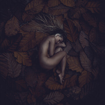 Overhead view of naked woman lying on leaves at field