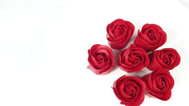 red roses on a white background rotate, buds isolate for international womens day and valentine's day