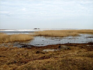 Chudskoe Lake ice site winter ice day