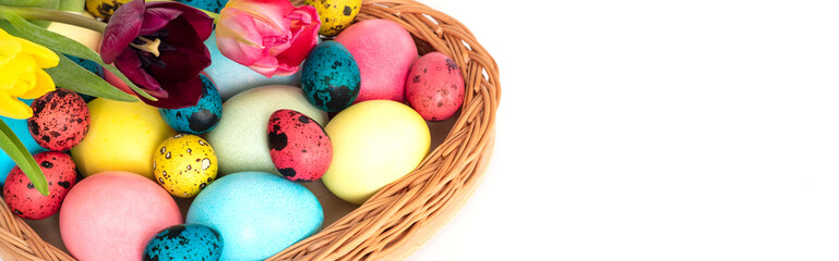 Easter banner with colorful painted eggs in a basket isolated on a white background. Copy space.
