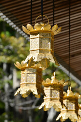 高野山金剛峯寺　御影堂の吊り灯籠　和歌山県