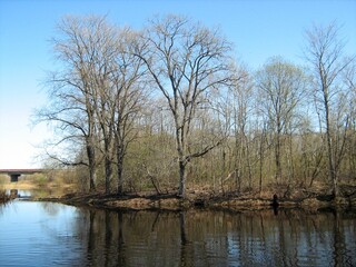 river in late autumn yellow and red leaves on the trees
