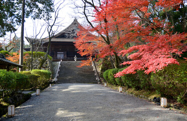 秋の三井寺　金堂　滋賀県大津市