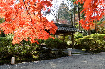秋の三井寺　手水舎　滋賀県大津市