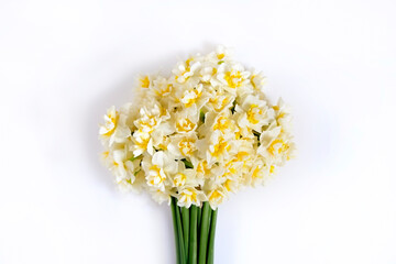 Lush bouquet of white-yellow daffodils isolated on white background. Tender minimalistic spring flowers composition. Top view, copy space for text, flat lay, close up.