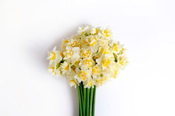 Lush bouquet of white-yellow daffodils isolated on white background. Tender minimalistic spring flowers composition. Top view, copy space for text, flat lay, close up.