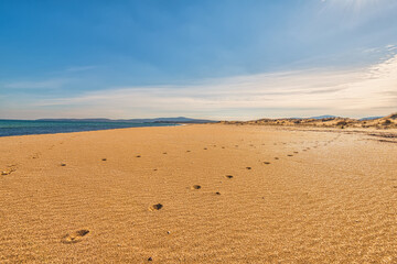 footprints in the dunes