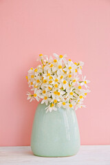 Lush bouquet of white-yellow daffodils in vintage turquoise vase isolated on pink background. Tender minimalistic spring flowers composition. Top view, copy space for text, flat lay, close up.