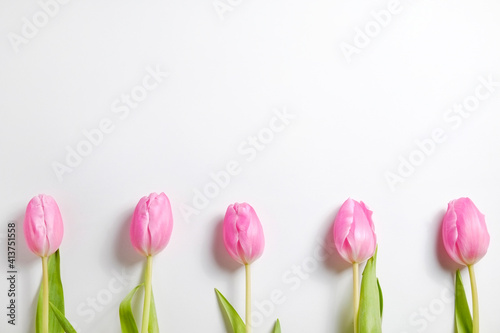 Fresh flower composition, bouquet of bi color pink tulips, isolated on white background. International Women's day, mother's day greeting concept. Copy space, close up, top view, flat lay.