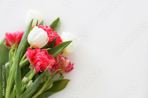 Fresh flower composition, bouquet of different types of tulips, isolated on white background. International Women's day, mother's day greeting concept. Copy space, close up, top view, flat lay.