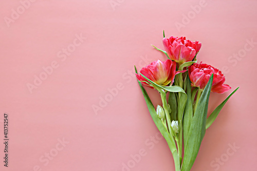 Fresh flower composition, bouquet of pink peony tulips, isolated on paper textured background. International Women's day, mother's day greeting concept. Copy space, close up, top view, flat lay.