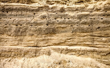 Steep wall of gray-brown sand with holes swallows nests in autumn. Background