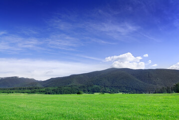 Fototapeta premium Mountain landscape, view of green field under the blue sky