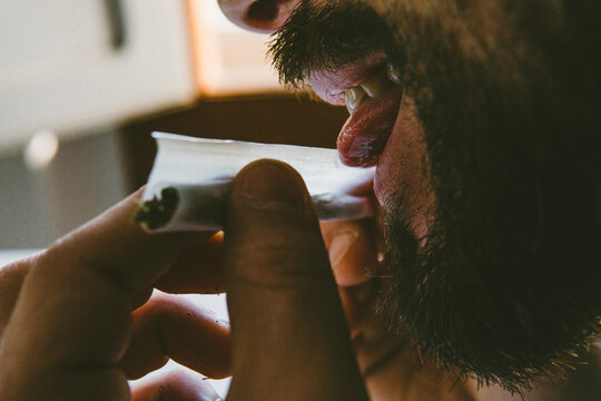 Bearded man licking end of rolling paper while making marijuana joints at home