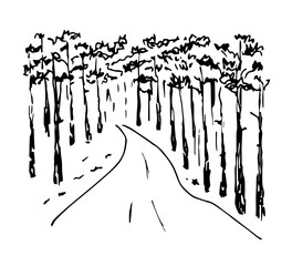 Simple hand-drawn vector drawing in black outline. Country road in a pine forest, nature reserve, landscape, conifers. Travel, trip, walk in the fresh air.