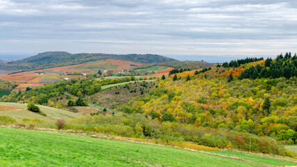 Fototapeta na wymiar autumn colors in Beaujolais