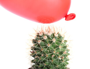 Cactus and air balloon on white background