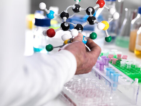 Cropped hand of scientist holding molecular structure in laboratory