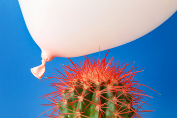 Cactus and air balloon on color background © Pixel-Shot