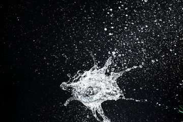 Water splash on dark background