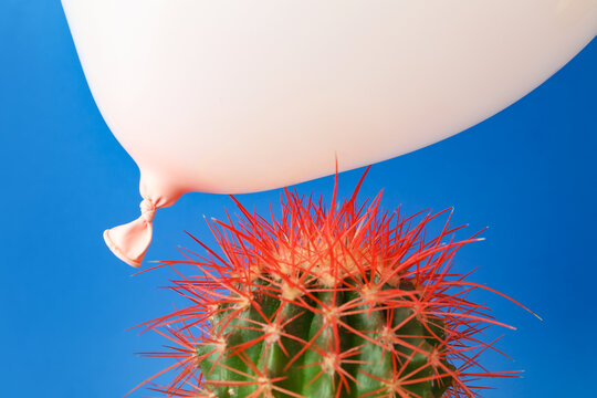 Cactus And Air Balloon On Color Background