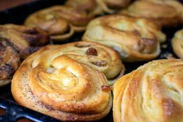 homemade buns closeup