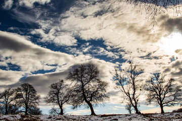 Fototapeta na wymiar Winter landscape in Romania