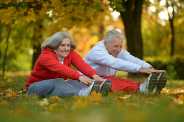 Fototapeta premium fit senior couple exercising in park
