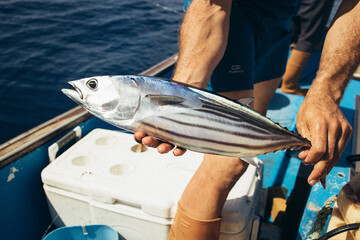 Pescador en Barco con pez fresco en la mano 