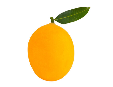 Thai fruit marian plum or plango fruit isolated on white background with clipping path