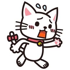 焦って追いかける白い猫