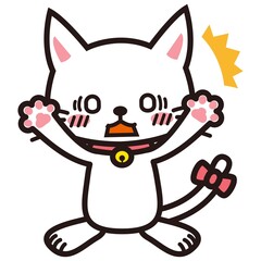 ビックリして白目になる白い猫