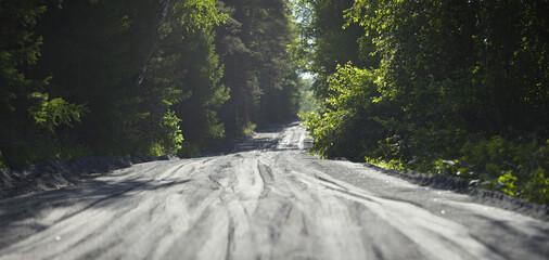 Forest road covered with fine gravel, panorama.