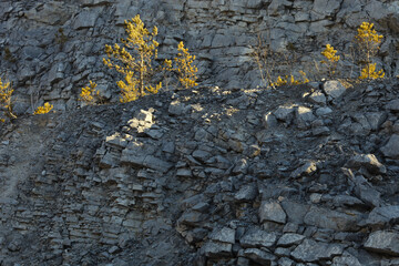 Texture of crumbling stone ore in a quarry, close-up.