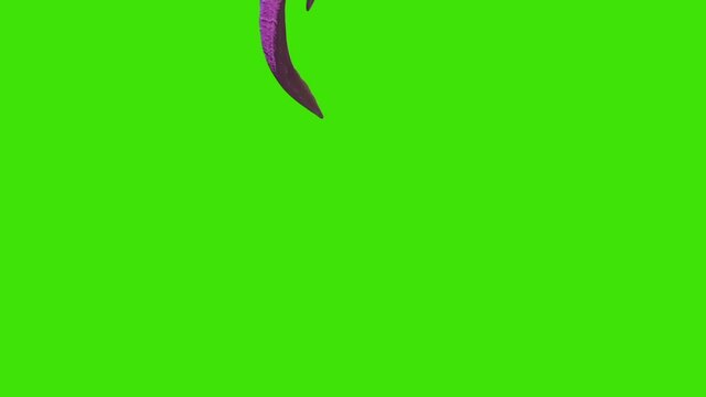 Two Monster Tentacles Attack Loop Green Screen 3D Rendering Animation