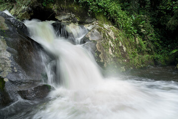 waterfall in the forest