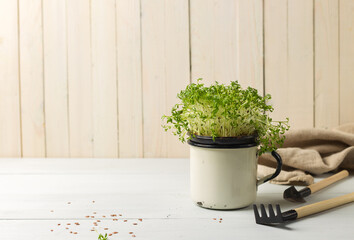 Micro-green of mizuna in a white enamel mug. Close-up with a miniature garden tools. On light wooden background with space