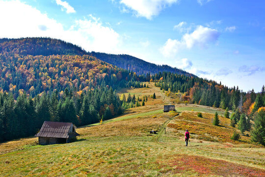 autumn landscape in the mountains, Gorca, Poland