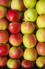 fresh apples in the market. background, food texture, harvest.