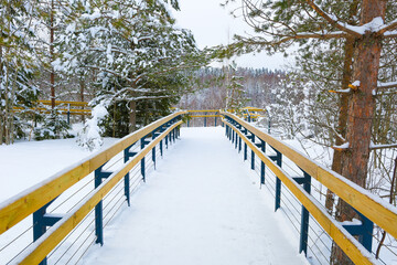 winter landscape of mountain park 