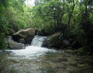 Fototapeta premium waterfall in the forest